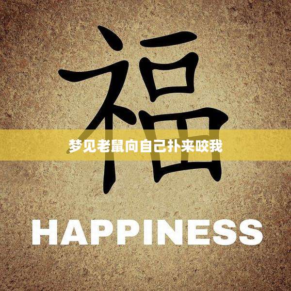 梦见老鼠向自己扑来咬我