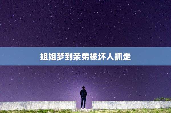 姐姐梦到亲弟被坏人抓走