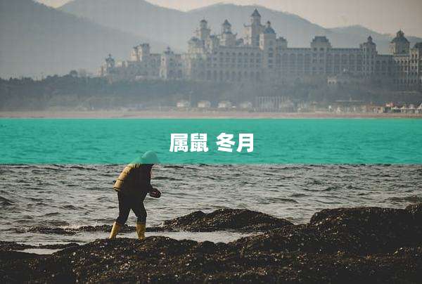 属鼠 冬月