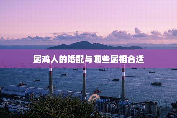 属鸡人的婚配与哪些属相合适