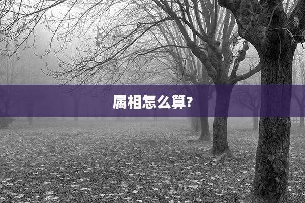属相怎么算?