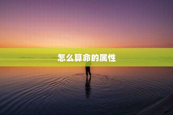 怎么算命的属性