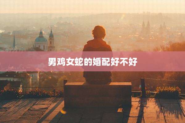 男鸡女蛇的婚配好不好