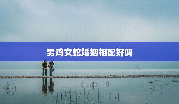 男鸡女蛇婚姻相配好吗