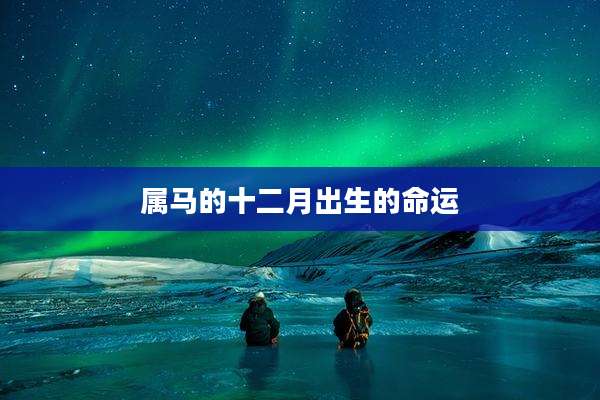 属马的十二月出生的命运