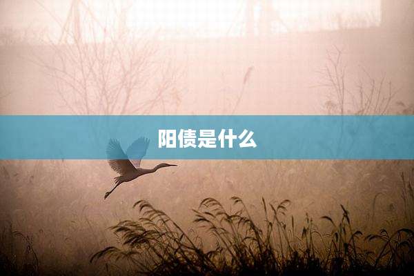 阳债是什么