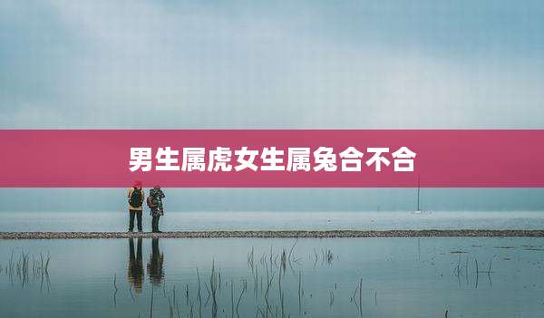 男生属虎女生属兔合不合