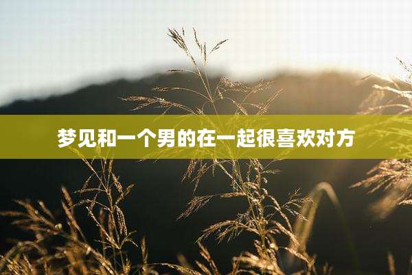 梦见和一个男的在一起很喜欢对方