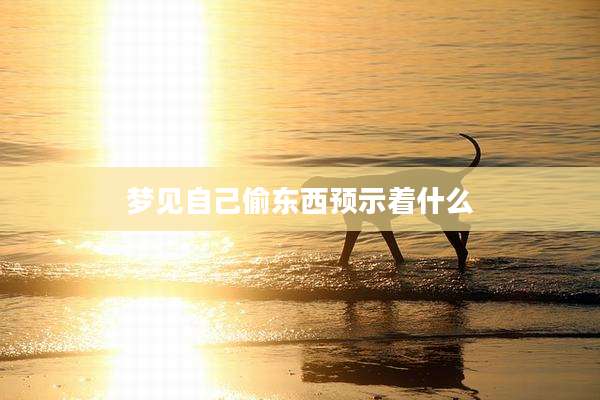梦见自己偷东西预示着什么