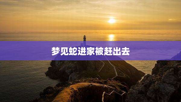 梦见蛇进家被赶出去