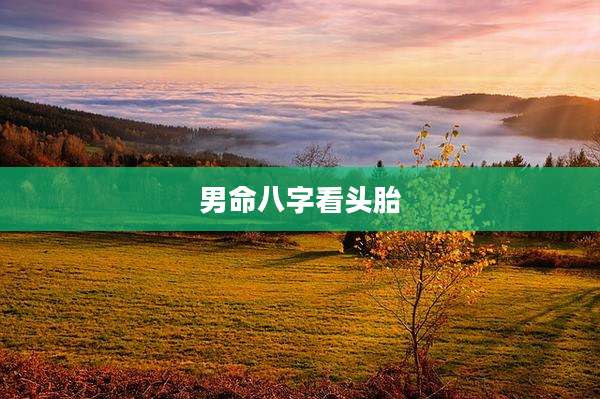 男命八字看头胎