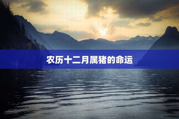 农历十二月属猪的命运