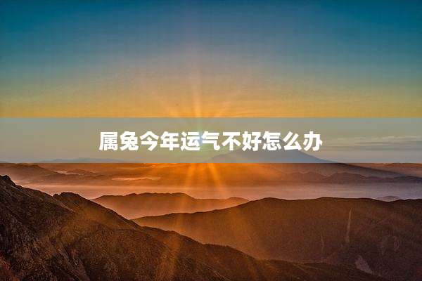 属兔今年运气不好怎么办
