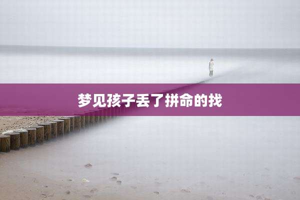 梦见孩子丢了拼命的找