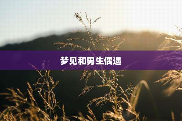 梦见和男生偶遇
