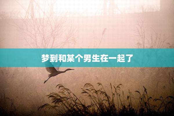 梦到和某个男生在一起了