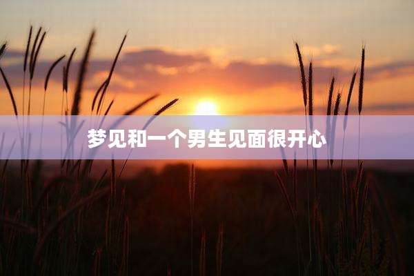 梦见和一个男生见面很开心