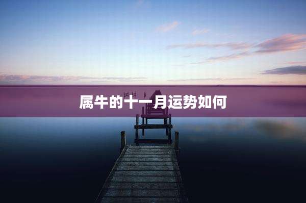 属牛的十一月运势如何