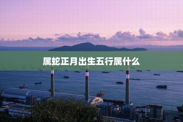 属蛇正月出生五行属什么