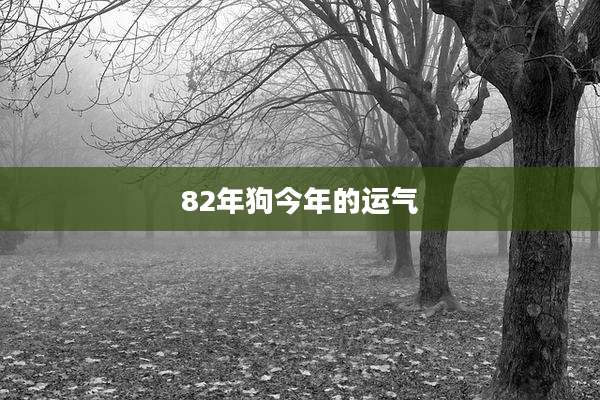 82年狗今年的运气
