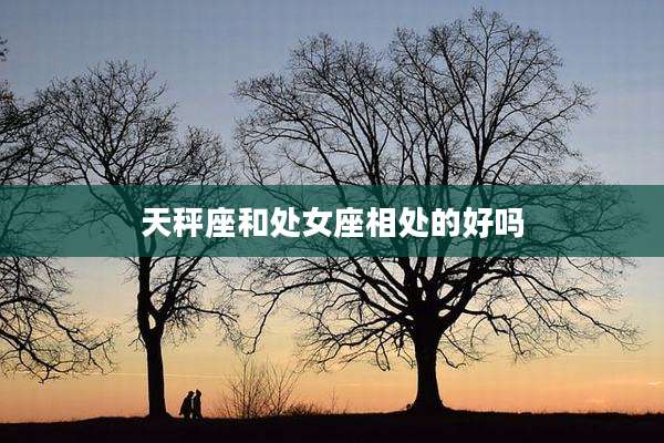 天秤座和处女座相处的好吗