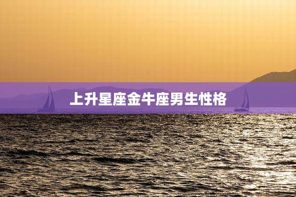 上升星座金牛座男生性格