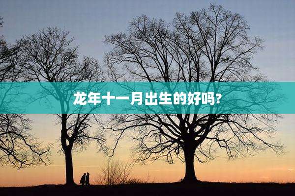 龙年十一月出生的好吗?