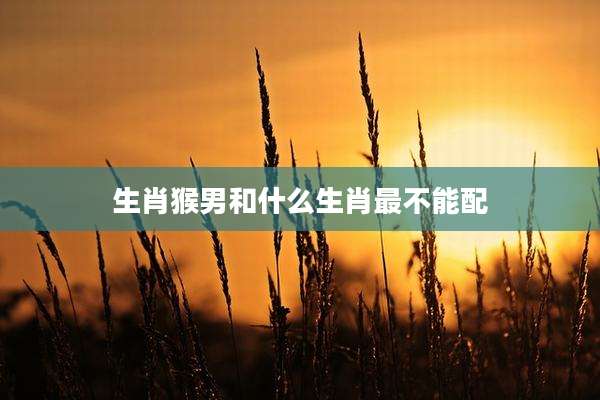 生肖猴男和什么生肖最不能配