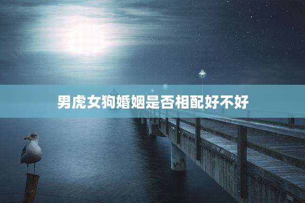 男虎女狗婚姻是否相配好不好