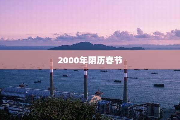 2000年阴历春节