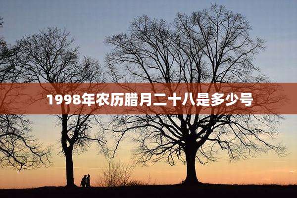1998年农历腊月二十八是多少号