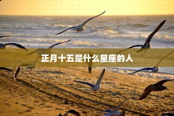 正月十五是什么星座的人