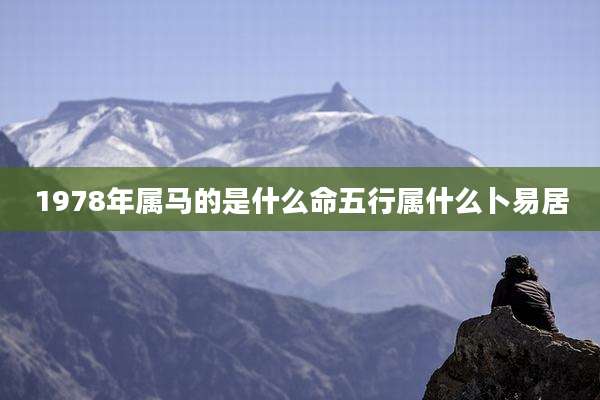 1978年属马的是什么命五行属什么卜易居