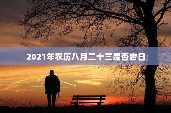 2021年农历八月二十三是否吉日