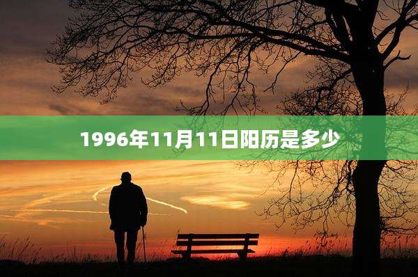 1996年11月11日阳历是多少