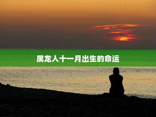 属龙人十一月出生的命运