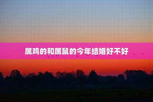属鸡的和属鼠的今年结婚好不好