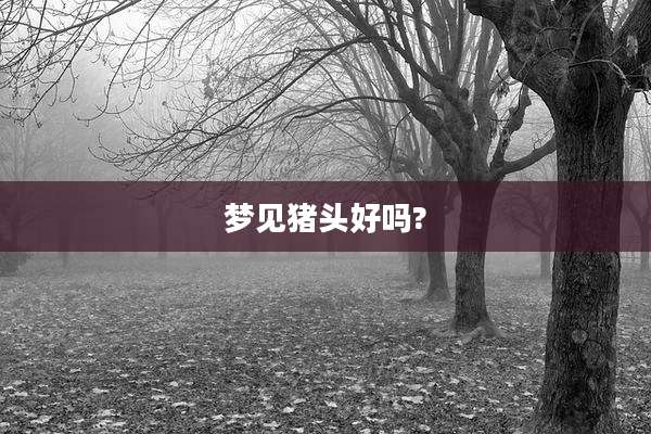 梦见猪头好吗?