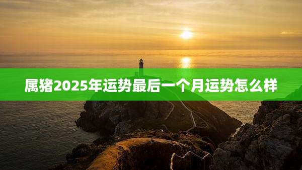 属猪2025年运势最后一个月运势怎么样