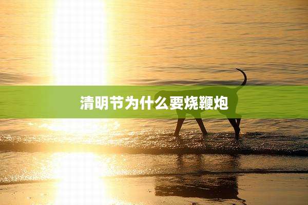 清明节为什么要烧鞭炮
