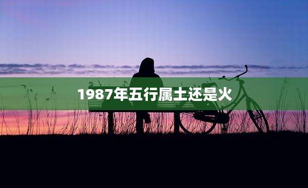 1987年五行属土还是火