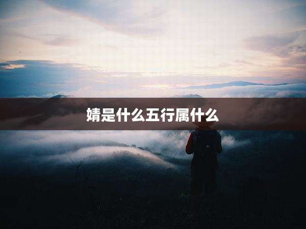 婧是什么五行属什么