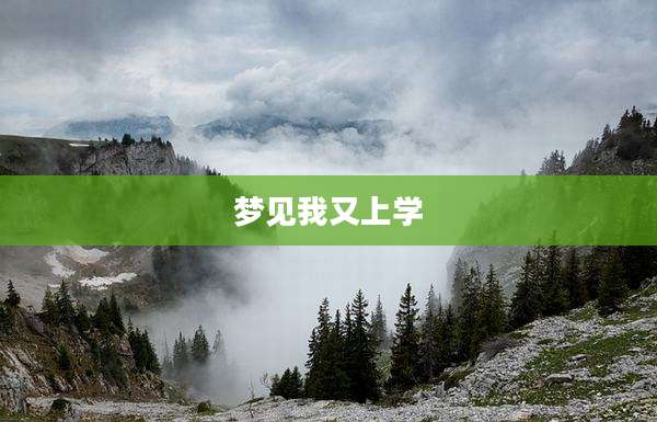 梦见我又上学