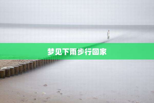 梦见下雨步行回家