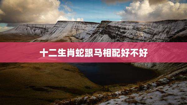 十二生肖蛇跟马相配好不好
