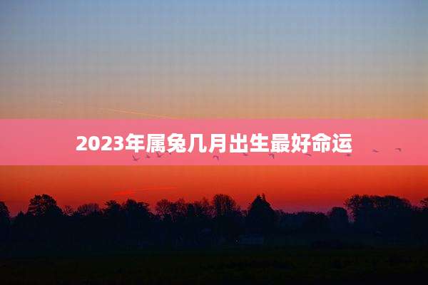 2023年属兔几月出生最好命运