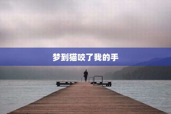 梦到猫咬了我的手