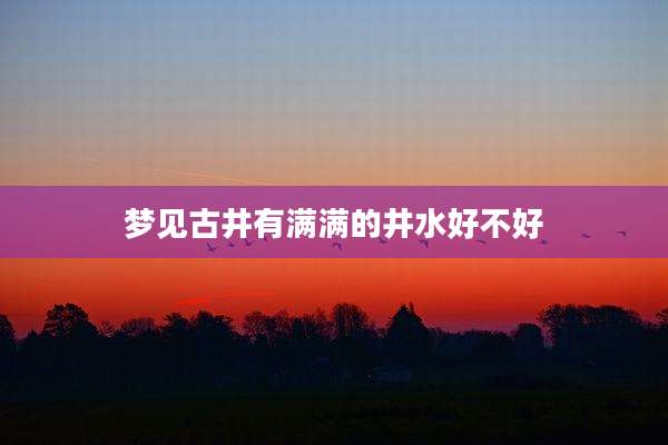 梦见古井有满满的井水好不好