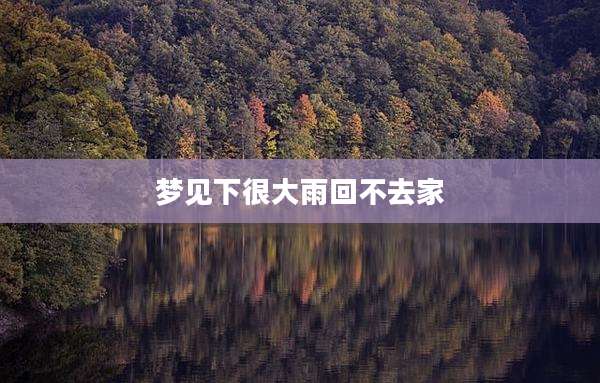 梦见下很大雨回不去家
