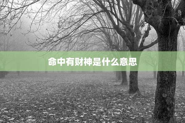 命中有财神是什么意思
